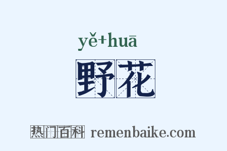 野花是什么意思的图片